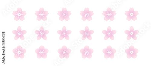 Vector Sakura flowers icons set.