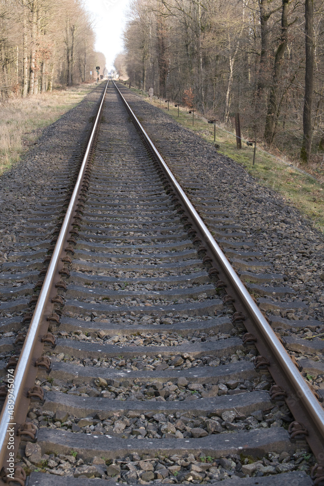 Fototapeta premium Ein langer Weg zum Ziel Schienen