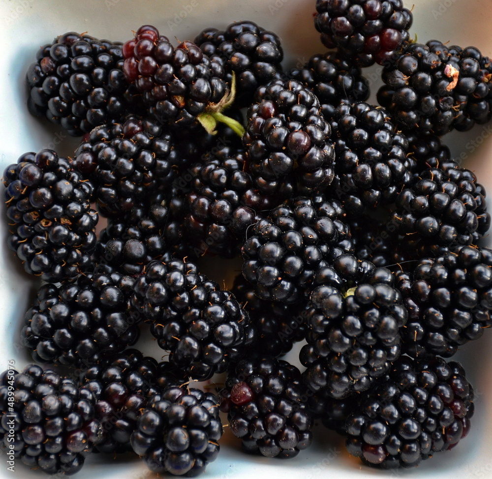 Black Rubus fruiticosus fruit, blackberries Black Rubus fruiticosus fruit, blackberries