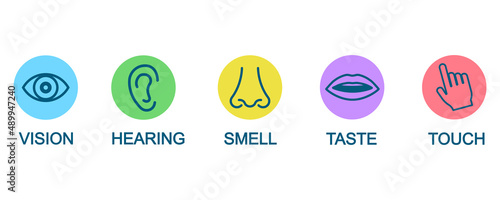 Five human senses icons vector set.  Icon collection with five human senses: vision, hearing, smell, taste and touch. Vector 10 EPS.