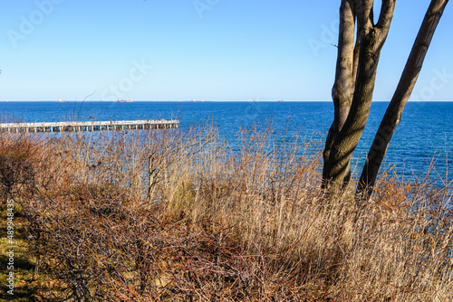 Spring trees and a view of the Baltic Sea in Gdynia, Poland