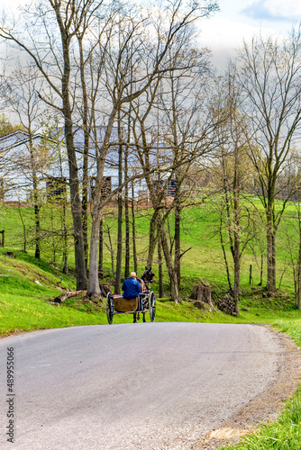 Amish man in open buggy