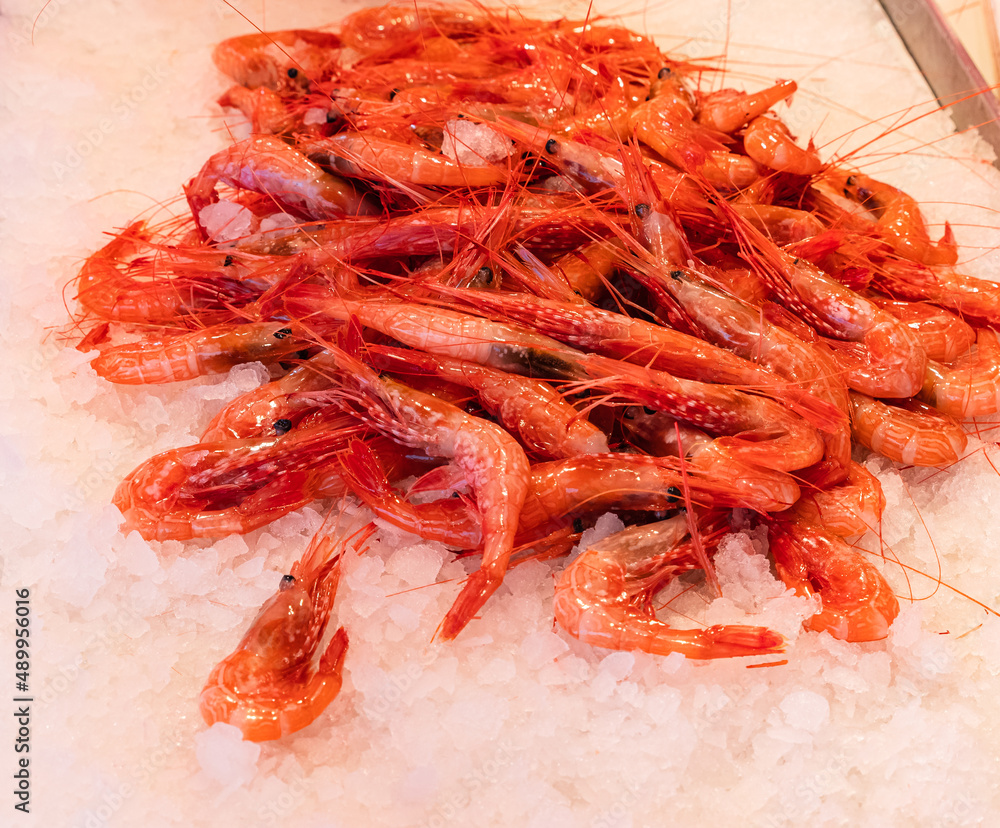 Prawns on Ice. Red shrimp, prawn in the ice on the market Prawns on Ice. Red shrimp, prawn in the ice on the market