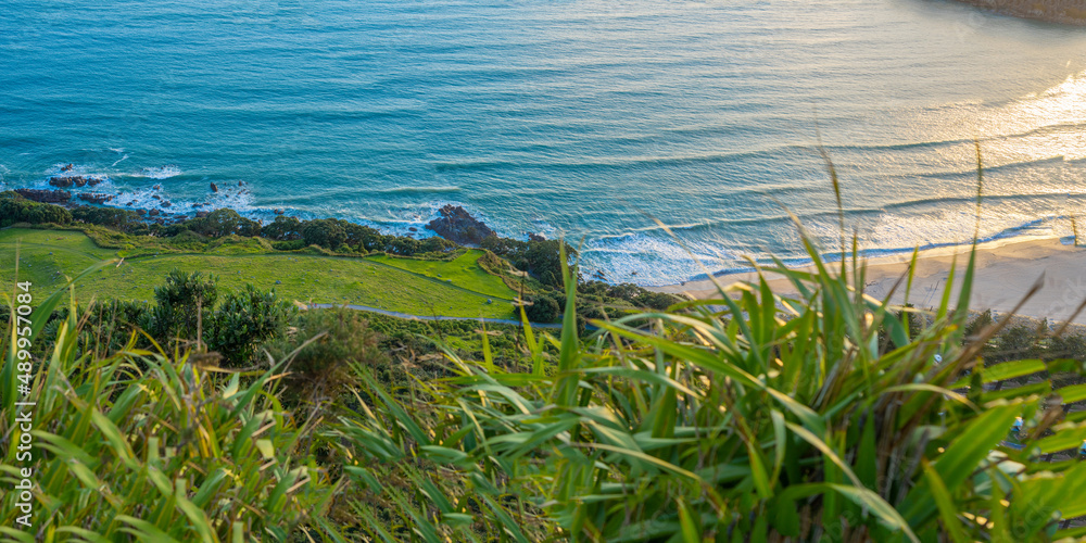 Panoramic view of green slope leading from summit to base of coastal Mount Maunganui Panoramic view of green slope leading from summit to base of coastal Mount Maunganui