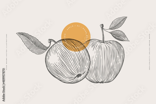 Hand-drawn two apples in engraving style. Dessert fruits with leaves. Design element for markets, shops, cafes, restaurants, packaging. Vintage botanical illustration on light background isolated.