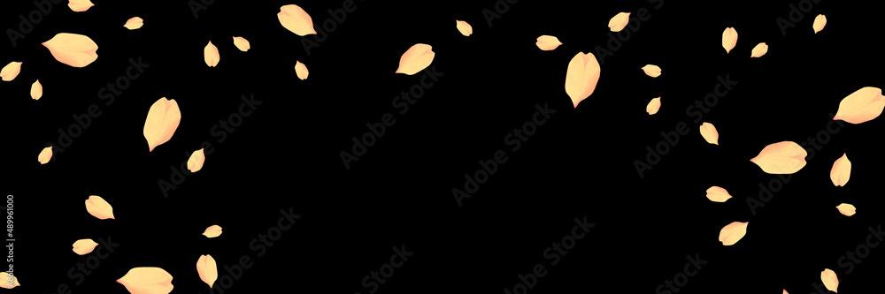 祝賀の桜吹雪 Stock Photo Adobe Stock