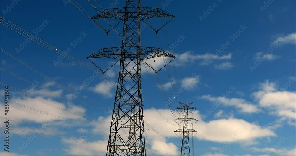 Landscapes nature sun light earth skies sky renewable energy plant Landscapes nature sun light earth skies sky renewable energy plant
