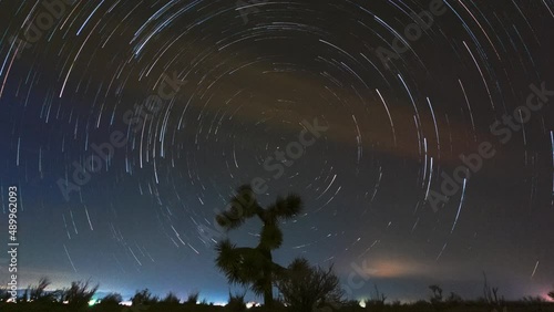 Stars Trailing over a Joshua tree in the Mojave desert - star trail time lapse