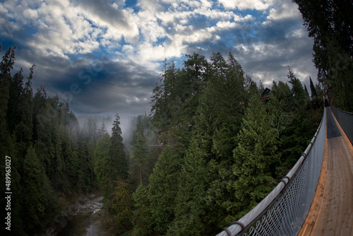 Footbridge in the heart of a national park in western Canada