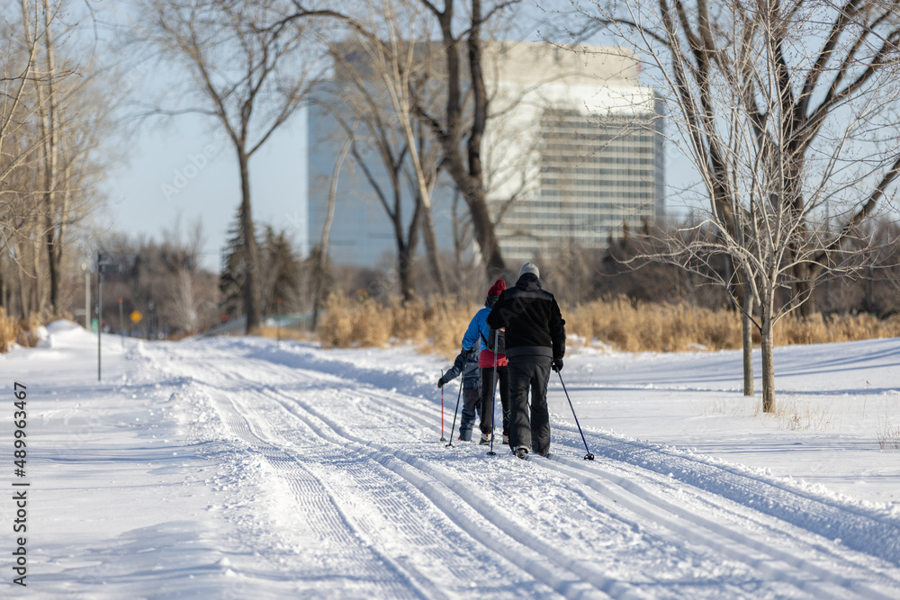 Cross country skiing in a park during winter