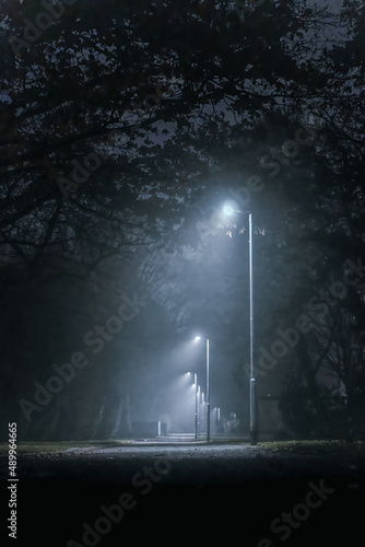 Fototapeta Naklejka Na Ścianę i Meble -  scary park way illuminated with street lamps in a foggy night