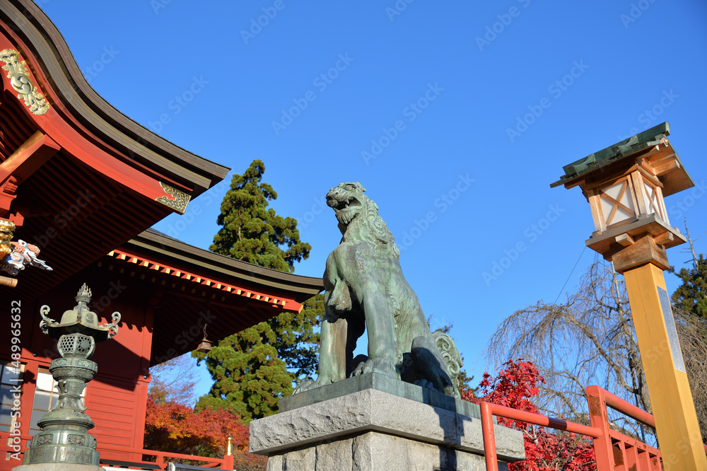 Obraz premium 武蔵御嶽神社、狛犬