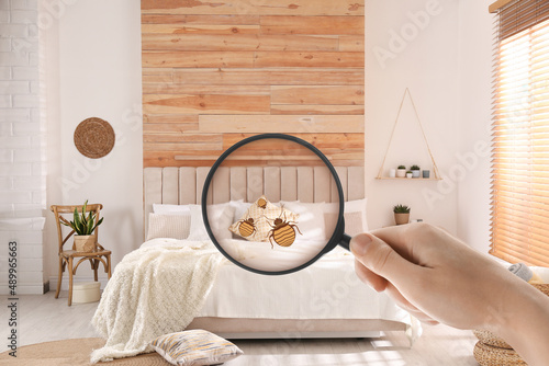 Schilderij op canvas Woman with magnifying glass detecting bed bugs in bedroom, closeup
