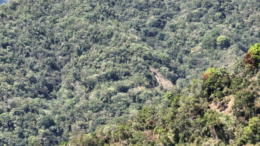 Aerial view of highway winding through mountains and jungle Aerial view of highway winding through mountains and jungle