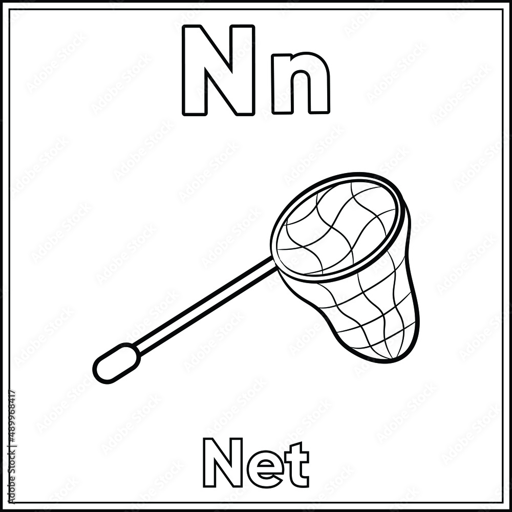 Alphabet Flashcard Letter N Learning With Cute Net Drawing Sketch For