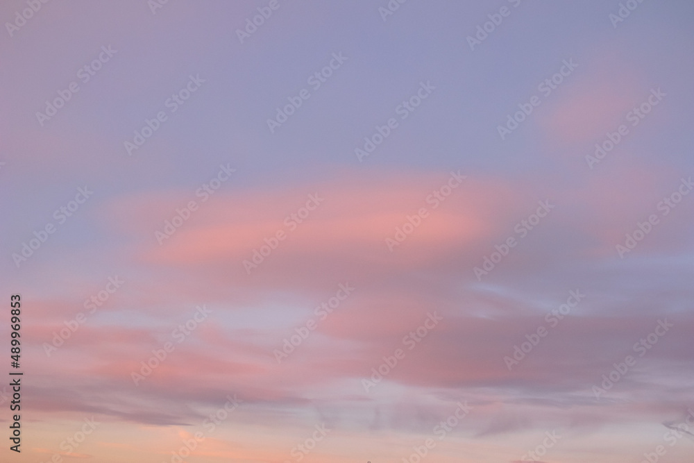 Fototapeta premium Pink Cloud on Vanila Sky