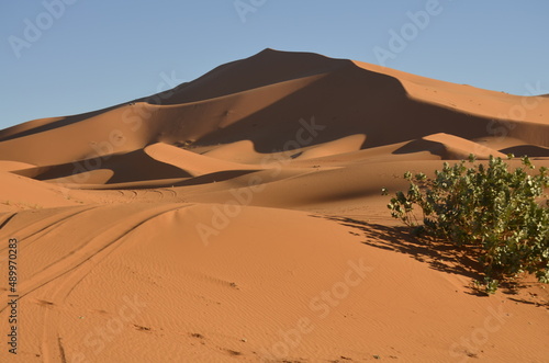 sand dunes in Sahara marocain
