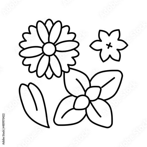 flowers phytotherapy line icon vector illustration