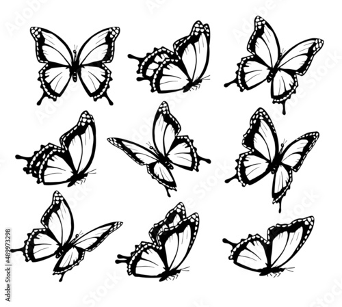 Collection of butterflies, flying in different directions. Butterfle silhouette. Vector.