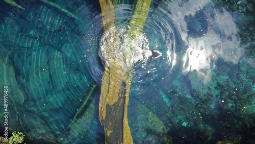 Aerial view of a cenote in Punta Cana, Dominican Republica photo