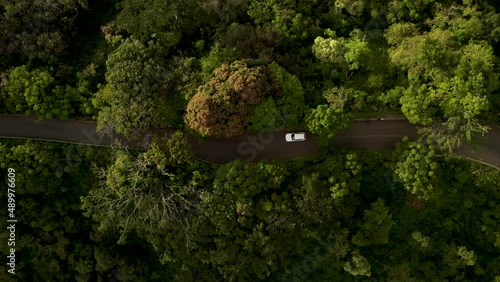 Tropical Mountain Sunset of a Car Driving on Tantalus on Oahu, Hawaii photo