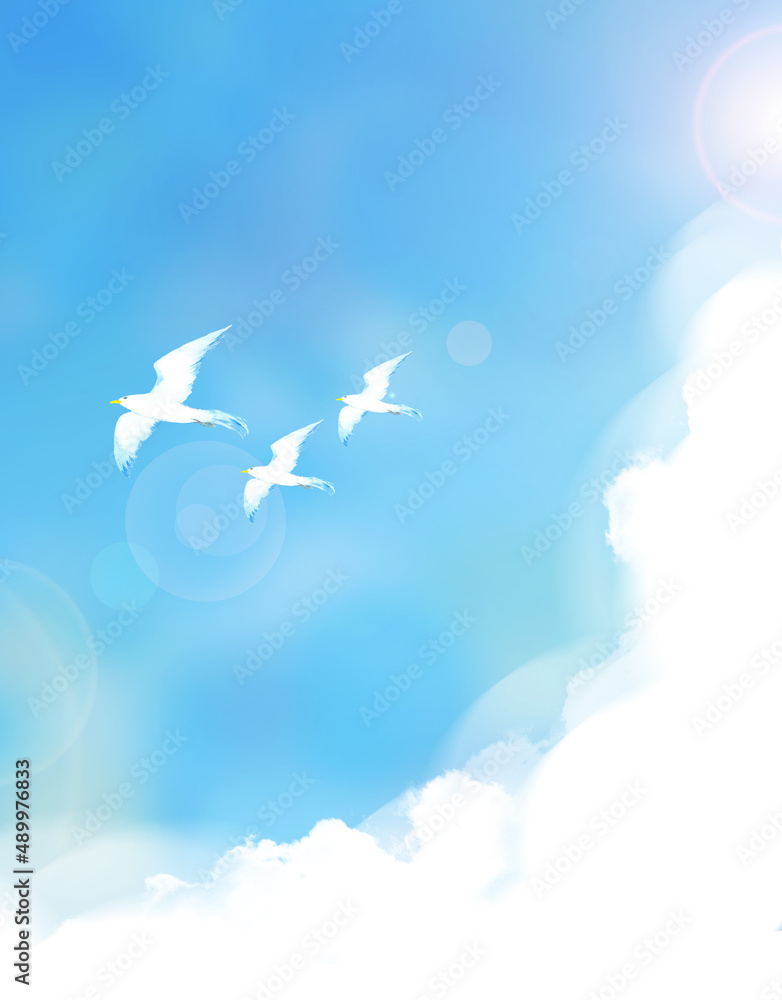 青空を飛ぶ鳥の風景イラスト Stock Illustration Adobe Stock