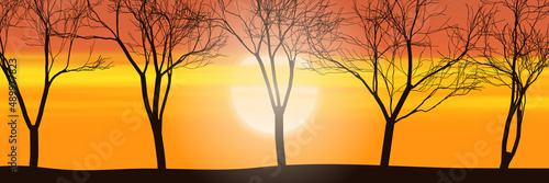 Trees against the setting sun, bright sunset sky, panoramic view, vector illustration