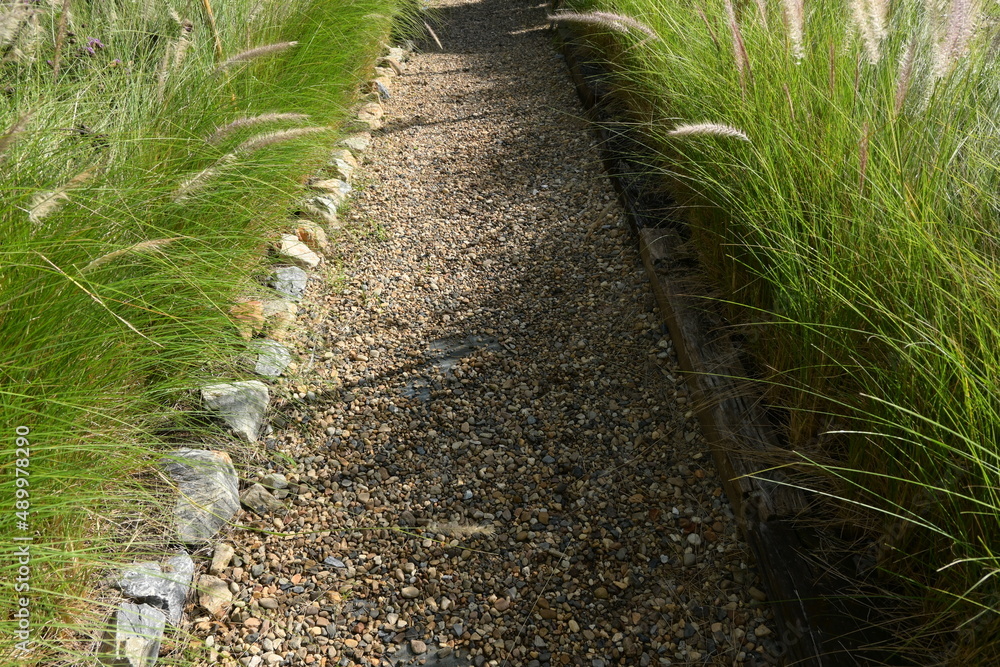 stone walkway with green garden, exterior design stone walkway with green garden, exterior design