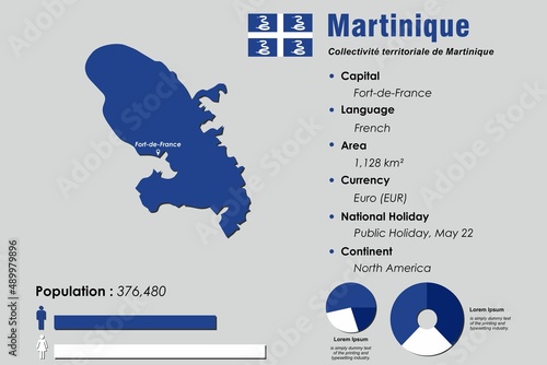 Martinique infographic vector illustration complemented with accurate statistical data. Martinique country information map board and Martinique flat flag