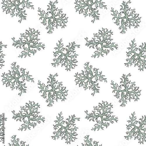 seamless pattern with drawing oakmoss at white background Evernia prunastri  hand drawn illustration