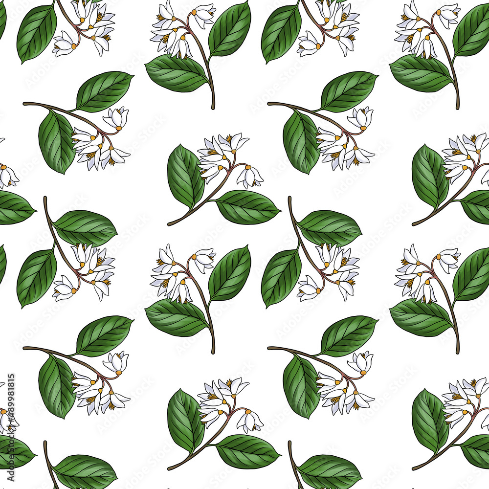 seamless pattern with drawing branch of gum benjamin tree , Styrax benzoin at white background, hand drawn illustration seamless pattern with drawing branch of gum benjamin tree , Styrax benzoin at white background, hand drawn illustration