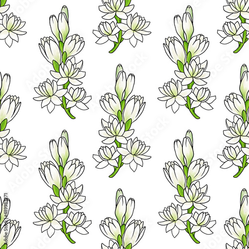 seamless pattern with drawing flowers of tuberose at white background, hand drawn illustration