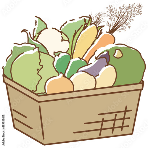 買い物かごに入った野菜