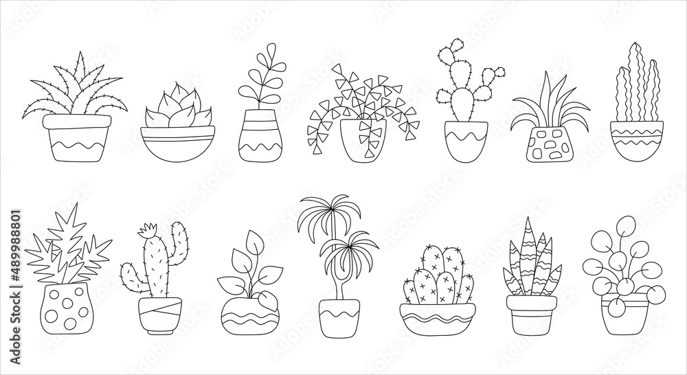 Download Plant Drawing Botanical Royalty-Free Stock Illustration Image -  Pixabay