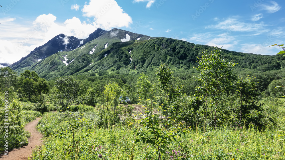 A dirt path winds through a green meadow. Grass, wildflowers, shrubs on the roadsides. A picturesque mountain range against a blue sky. Kamchatka. Vachkazhets