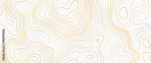 Abstract stylized topographic contour elevation in lines and contours, abstract background with lines, Abstract Vector Seamless Pattern with Linear Stylized Salmon Fish Fillet Texture.