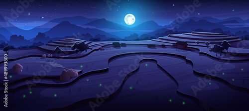 Night rice field terraces at asian mountains landscape with paddy plantation cascades, chinese agricultural farm under dark starry sky with full moon and glowing fireflies, Cartoon vector illustration