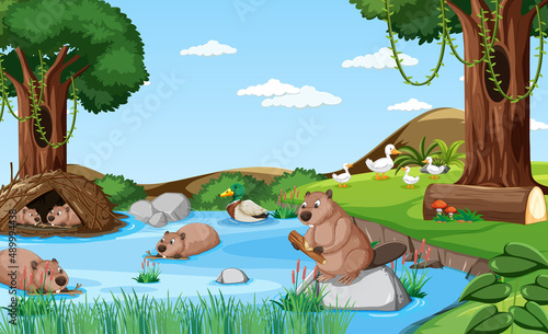 River in the forest with otters and ducks