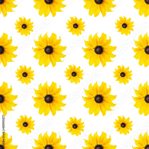 Fototapeta Naklejka Na Ścianę i Meble -  Seamless natural pattern of natural yellow flowers on white background, as backdrop or texture. Bright summer wallpaper. Top view Flat lay