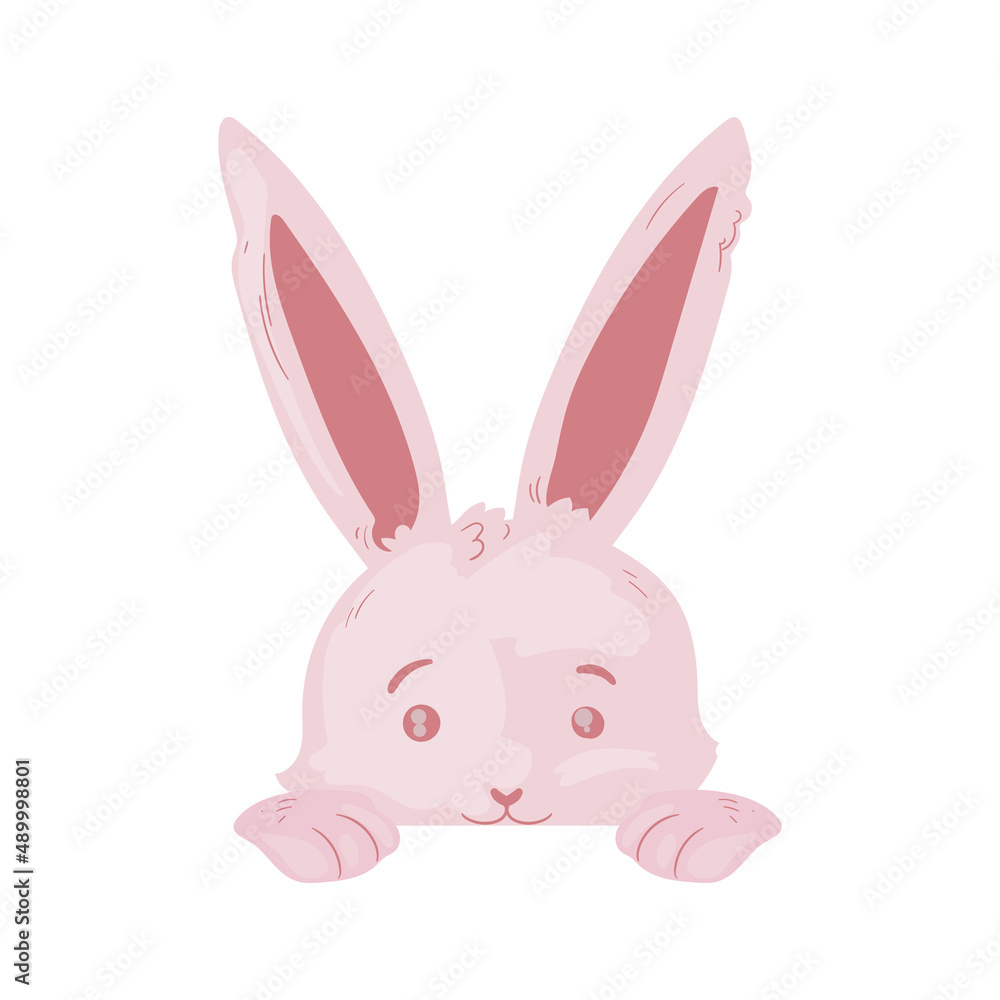 cute pink bunny cute pink bunny