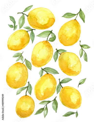 9 lemon watercolor painting, isolated on white background, hand drawn and painted