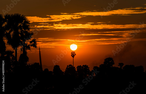 Sunset Background behind the sugar palm trees and rice field at Phetchaburi, Thailand