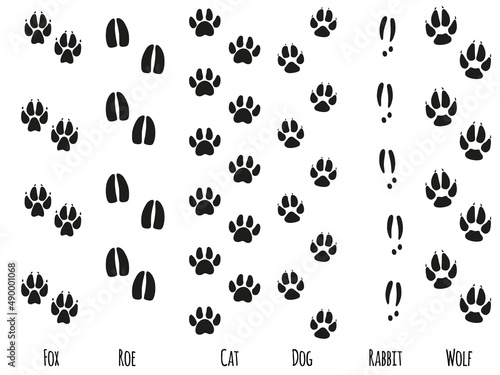 Animals feet tracks. Animals paws and sillhouetts.