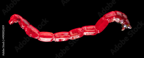 Red bloodworm worm isolated on black background.