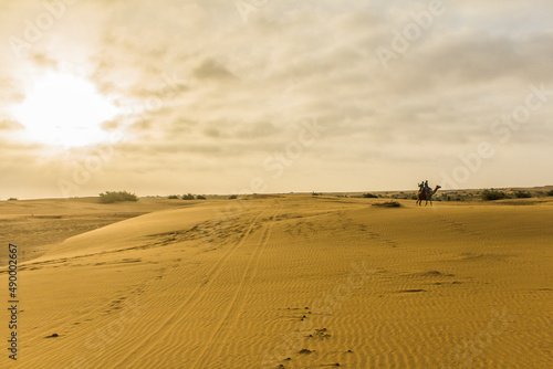 Various views of the Sam s sand dunes