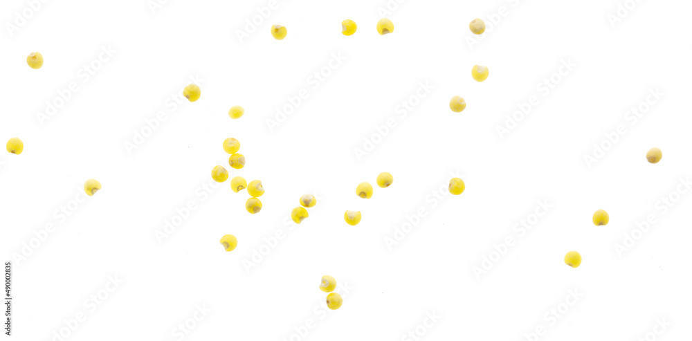 Millet groats isolated on a white background. Millet groats isolated on a white background.