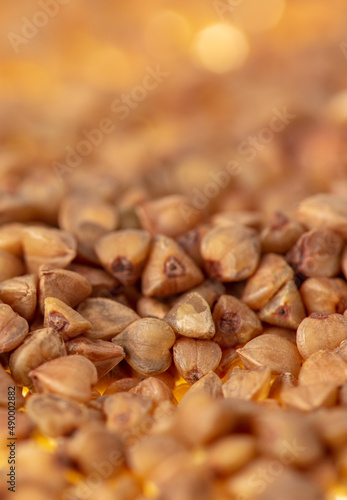 Close-up of buckwheat groats as background. © schankz