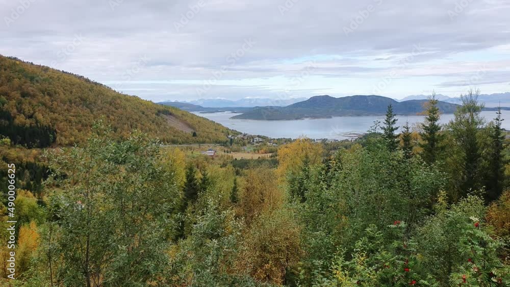 Beautiful forest in a coastal landscape with islands in the distance Beautiful forest in a coastal landscape with islands in the distance