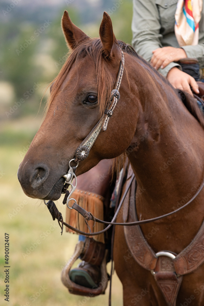Fototapeta premium Western Tack Details