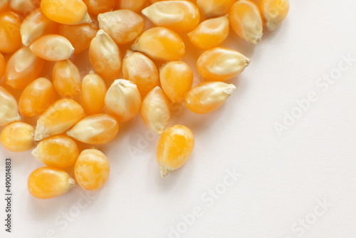 dried corn on wooden plate for cooking popcorn ingredient